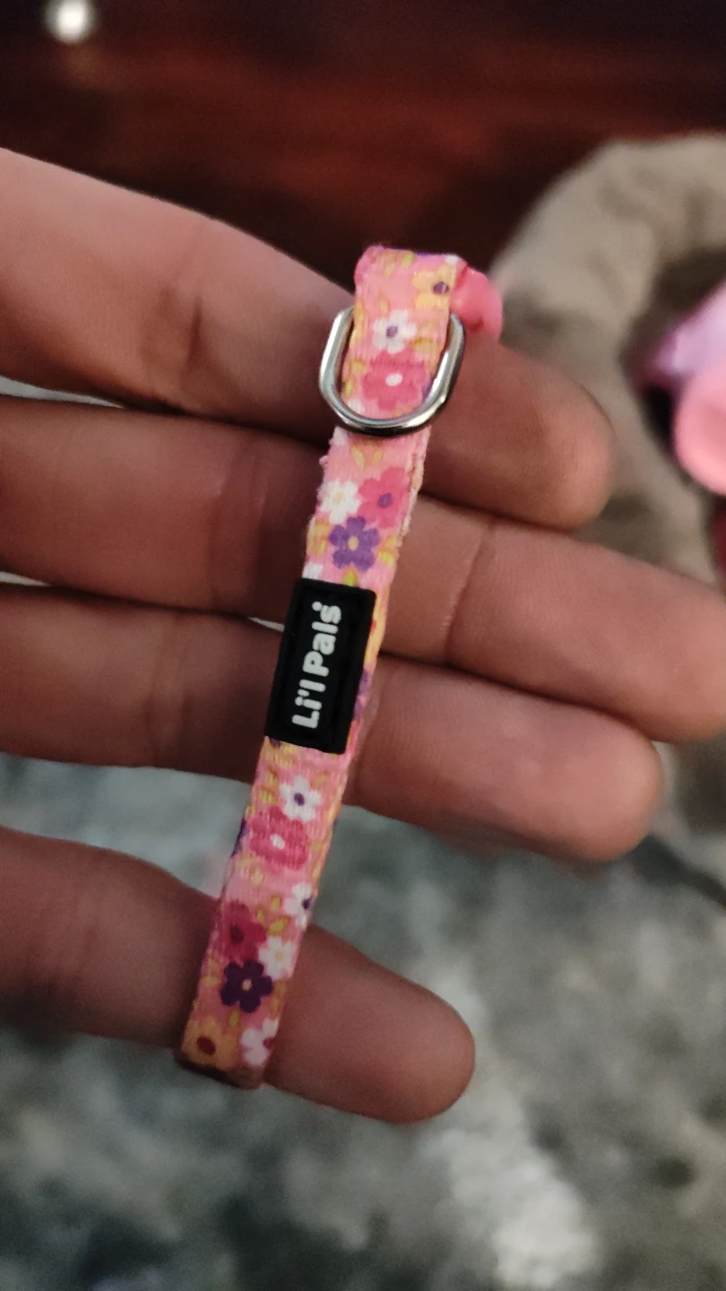 Li'l Pals Pink Floral Pet Collar