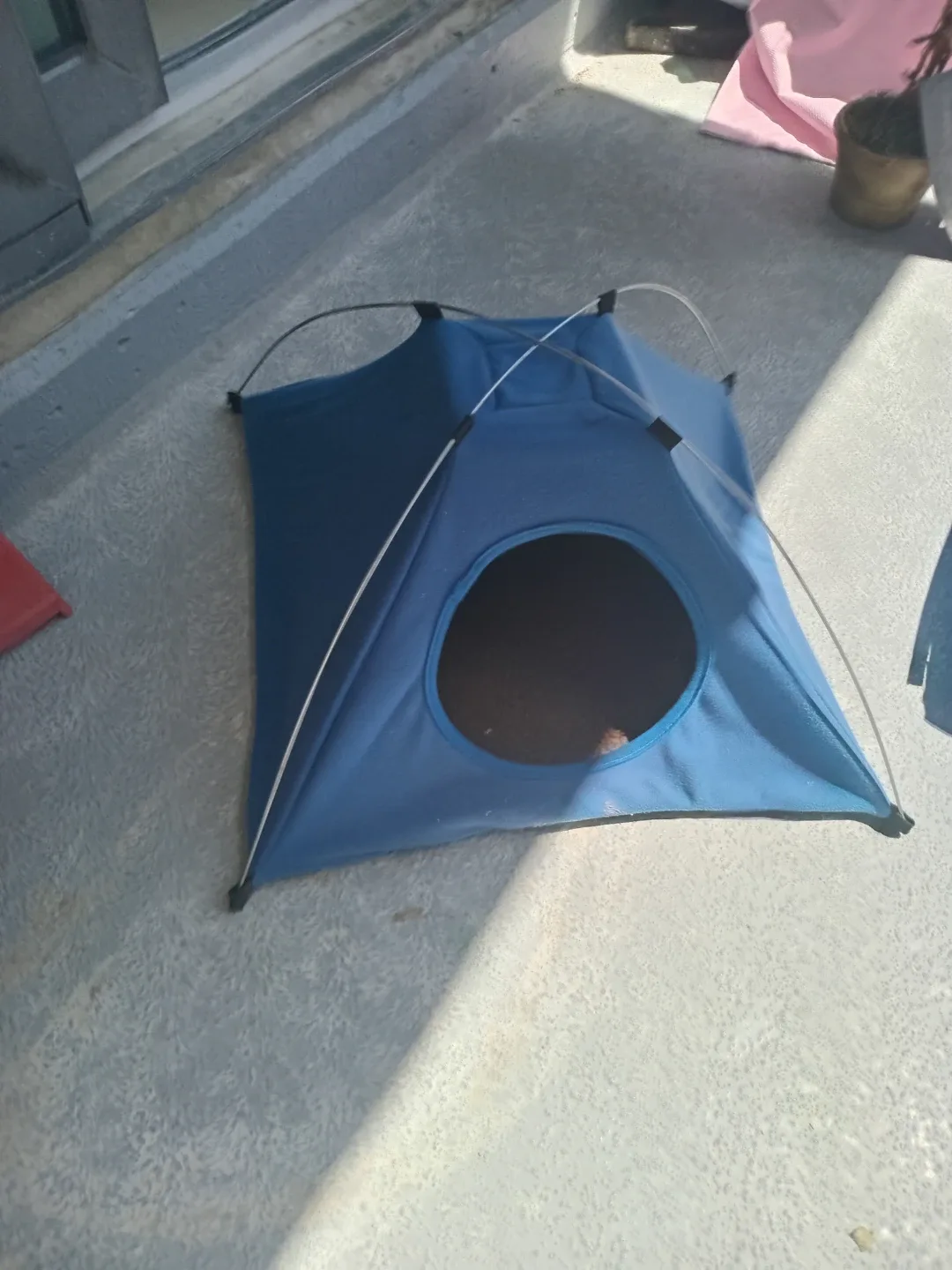 Blue Pet Tent