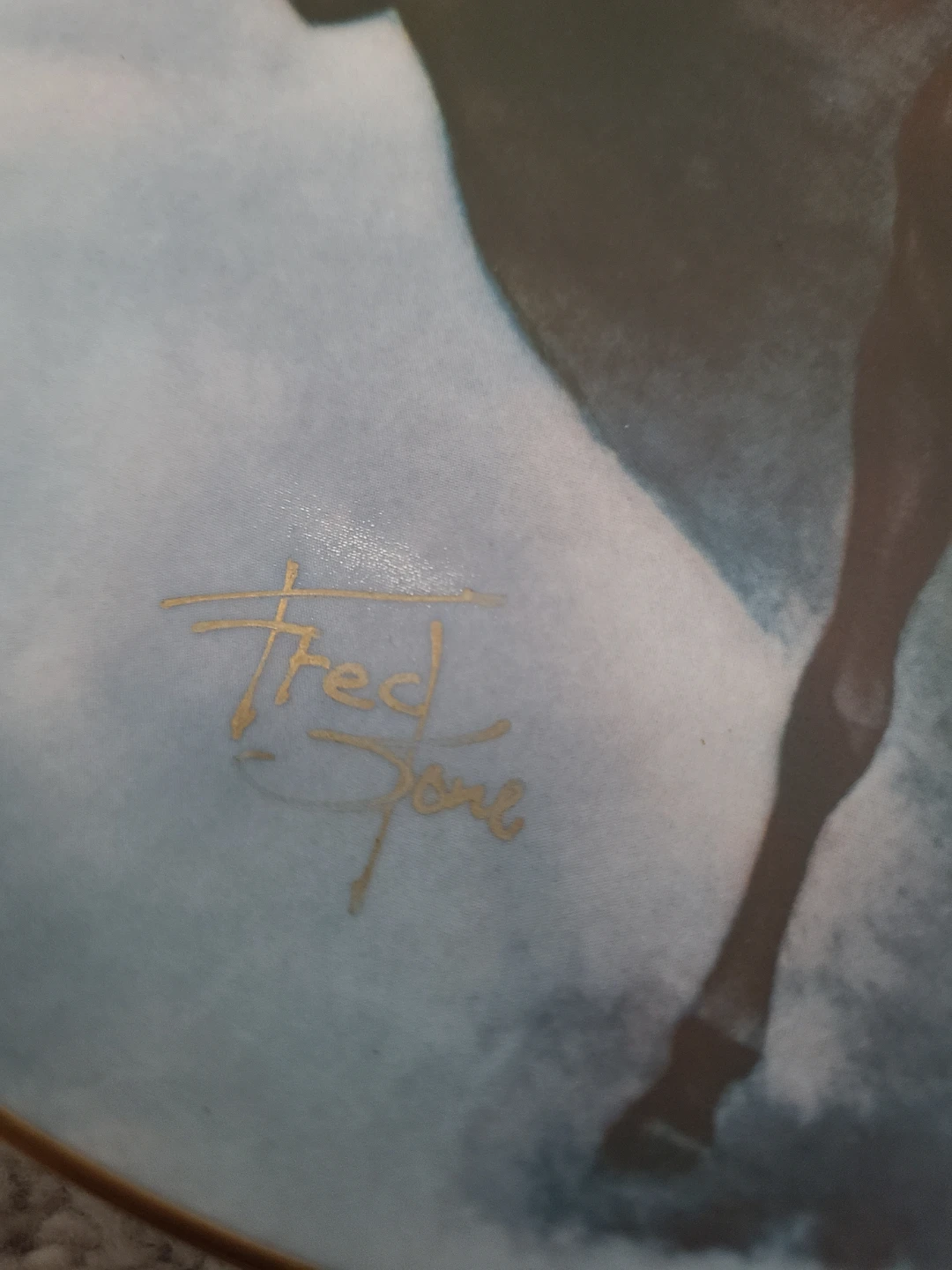 Fred Stone The Black Stallion Collector Plate - photo 2