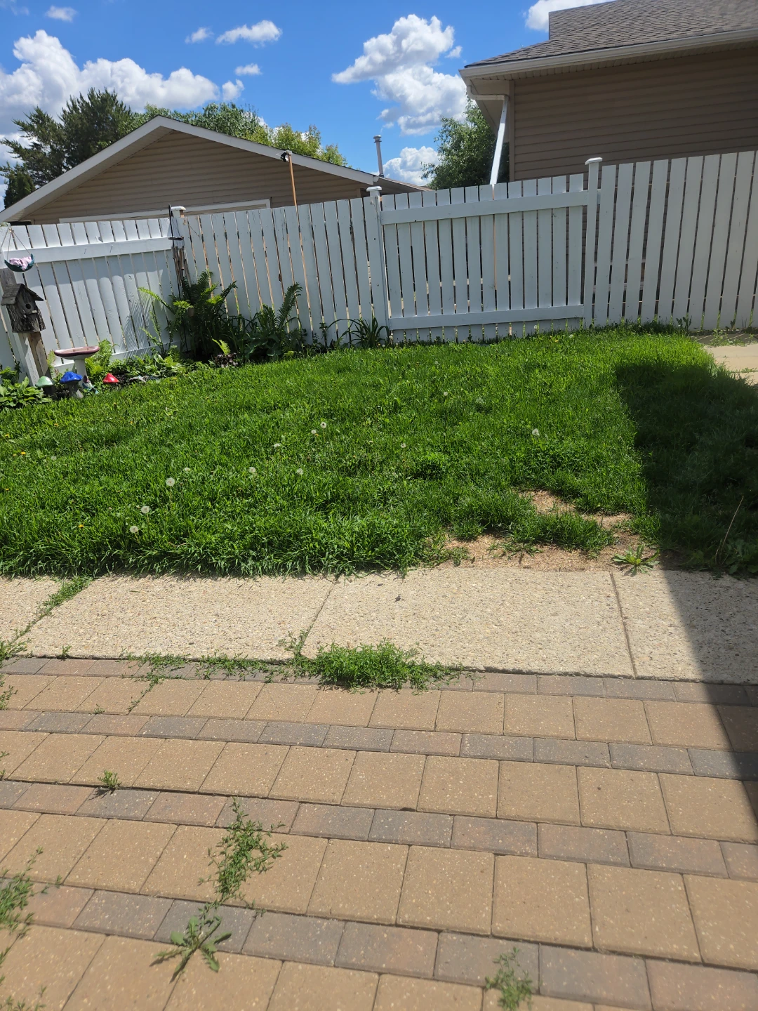Lawn mowing service edmonton