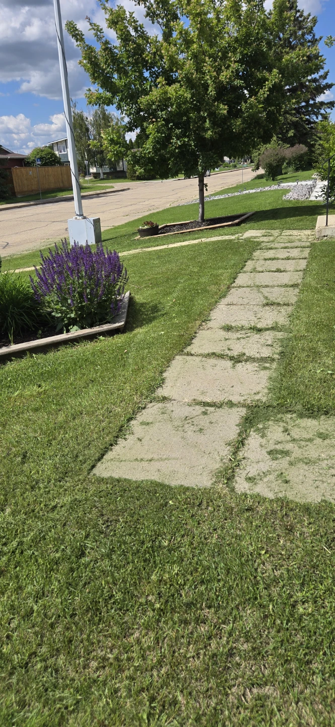 Lawn mowing service edmonton - photo 4