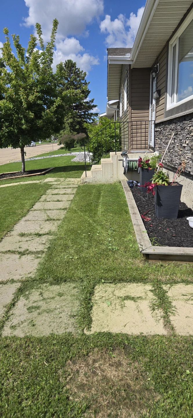 Lawn mowing service edmonton - photo 5