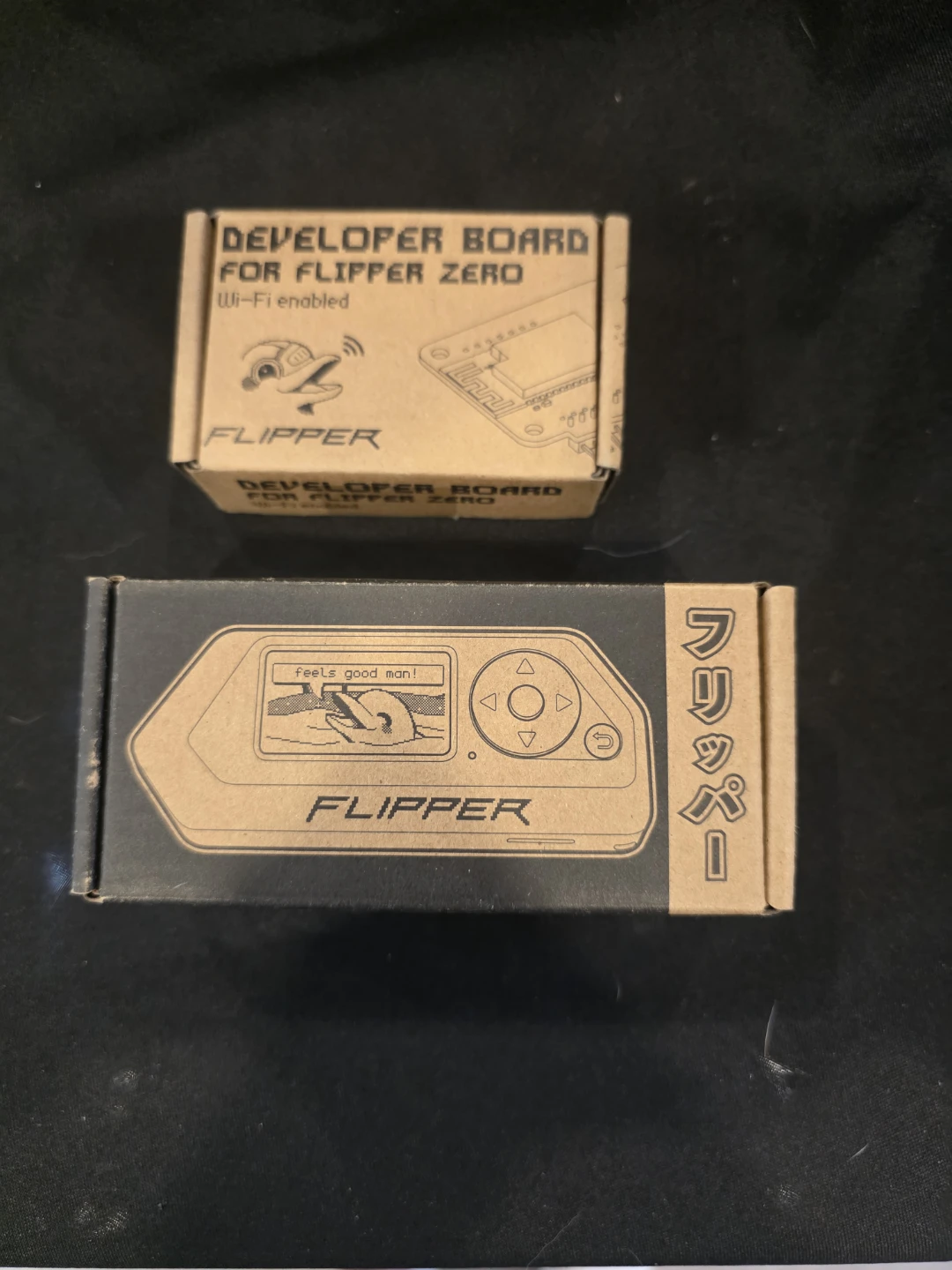 Flipper Zero with Developer Board