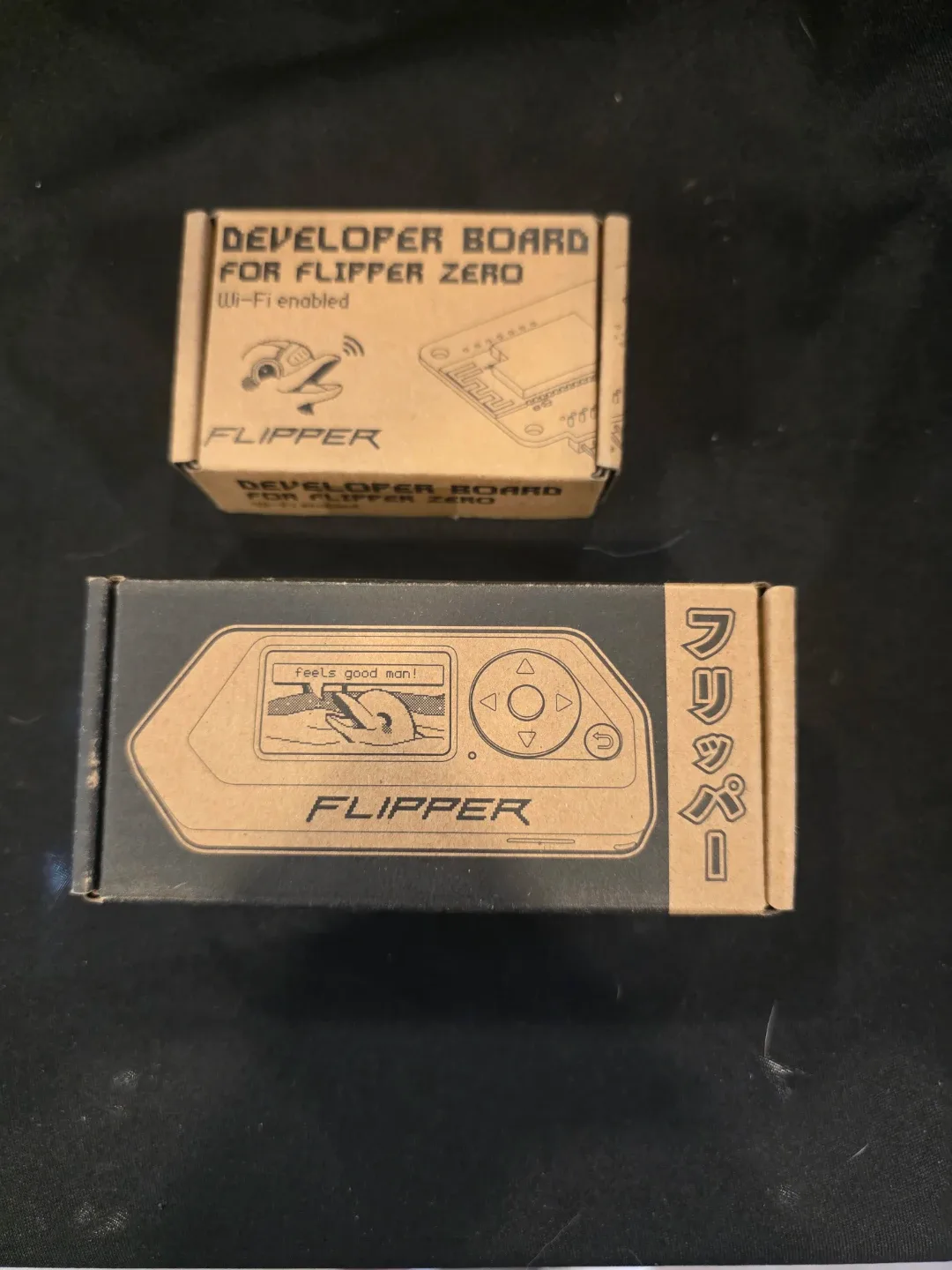 Flipper Zero with Developer Board