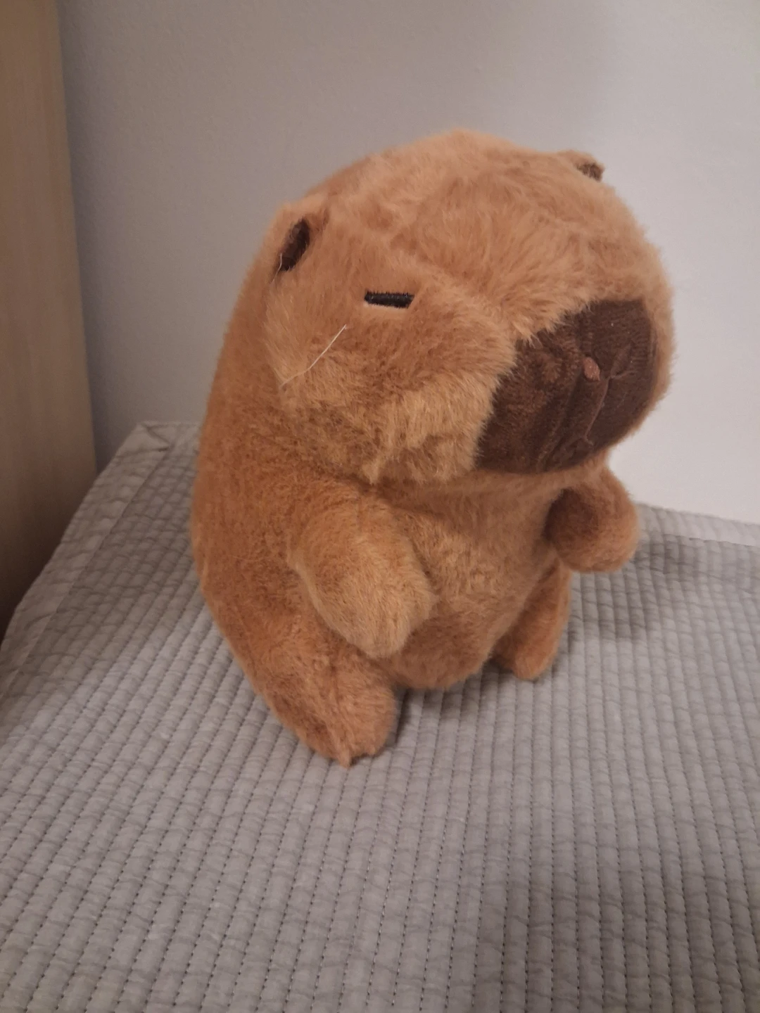 Brown Capybara Plush Toy