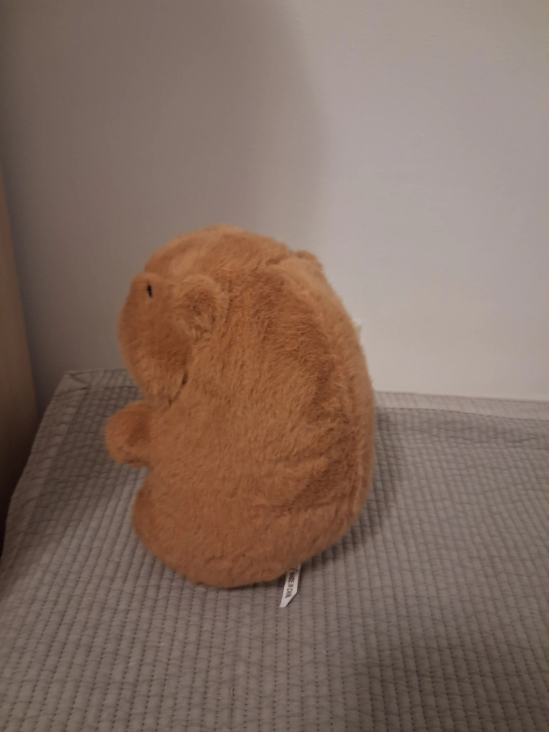 Brown Capybara Plush Toy - photo 3