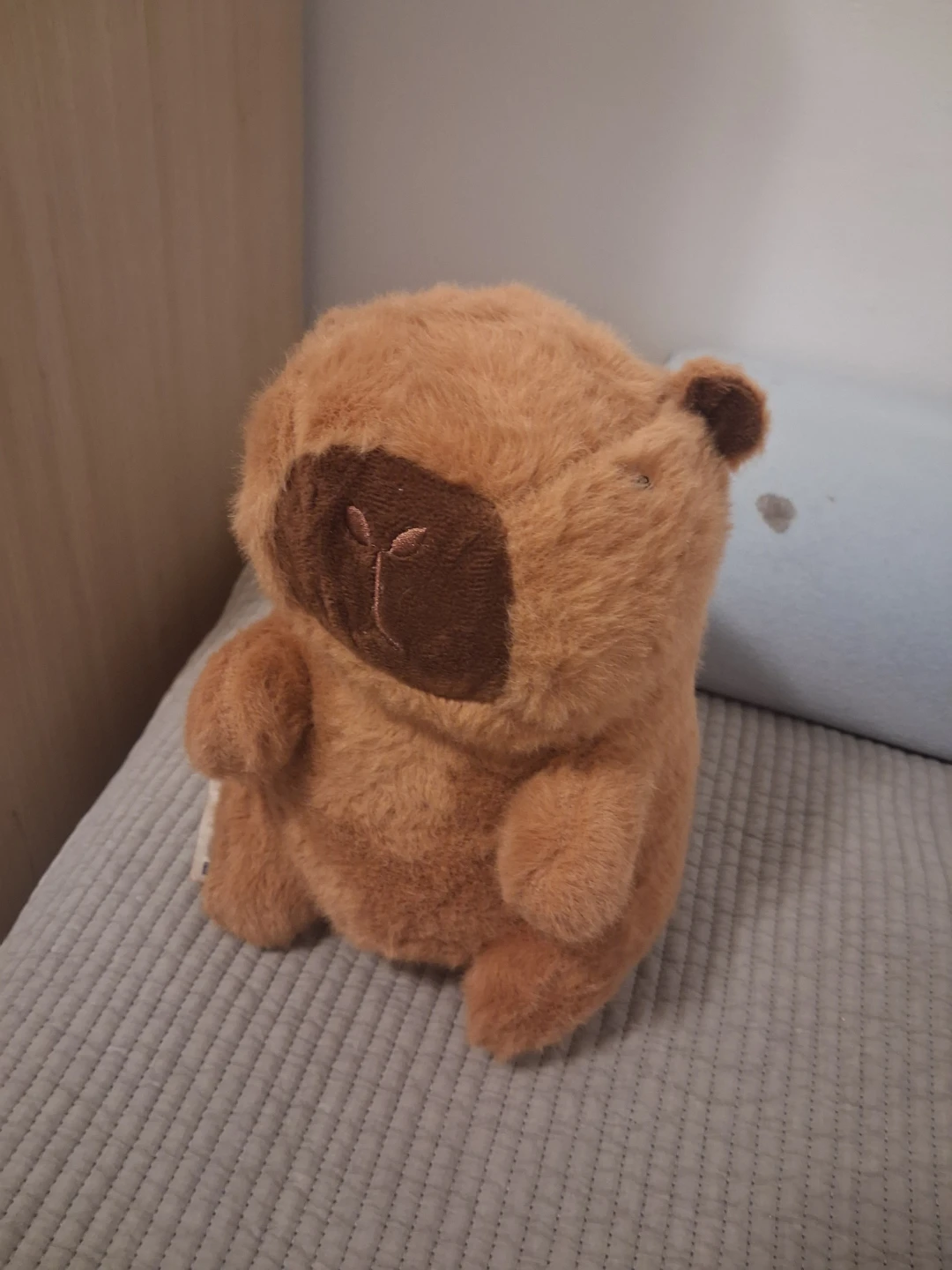 Brown Capybara Plush Toy - photo 4
