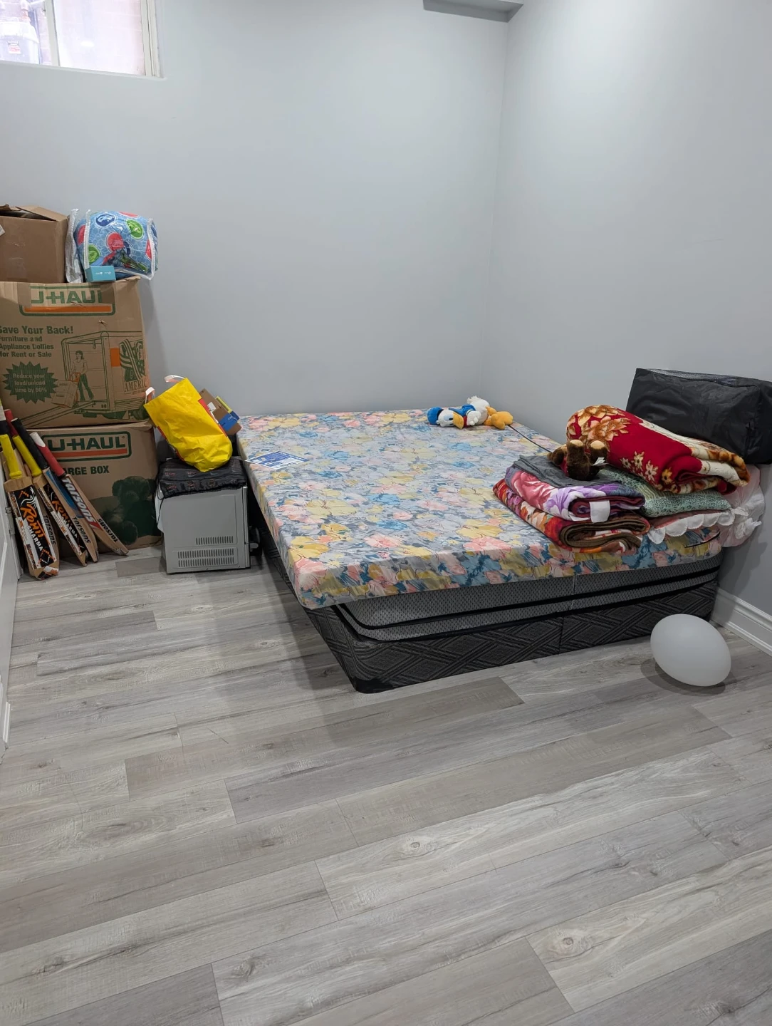 Basement Bedroom for Rent - photo 2