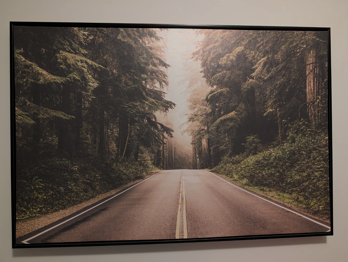 Framed Canvas Wall Art
