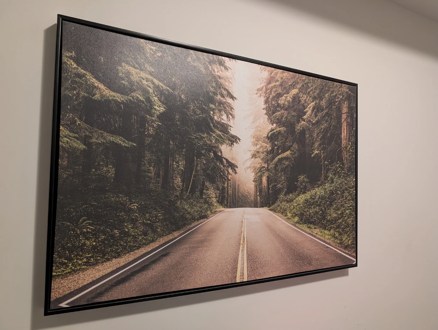 Framed Canvas Wall Art - photo 2