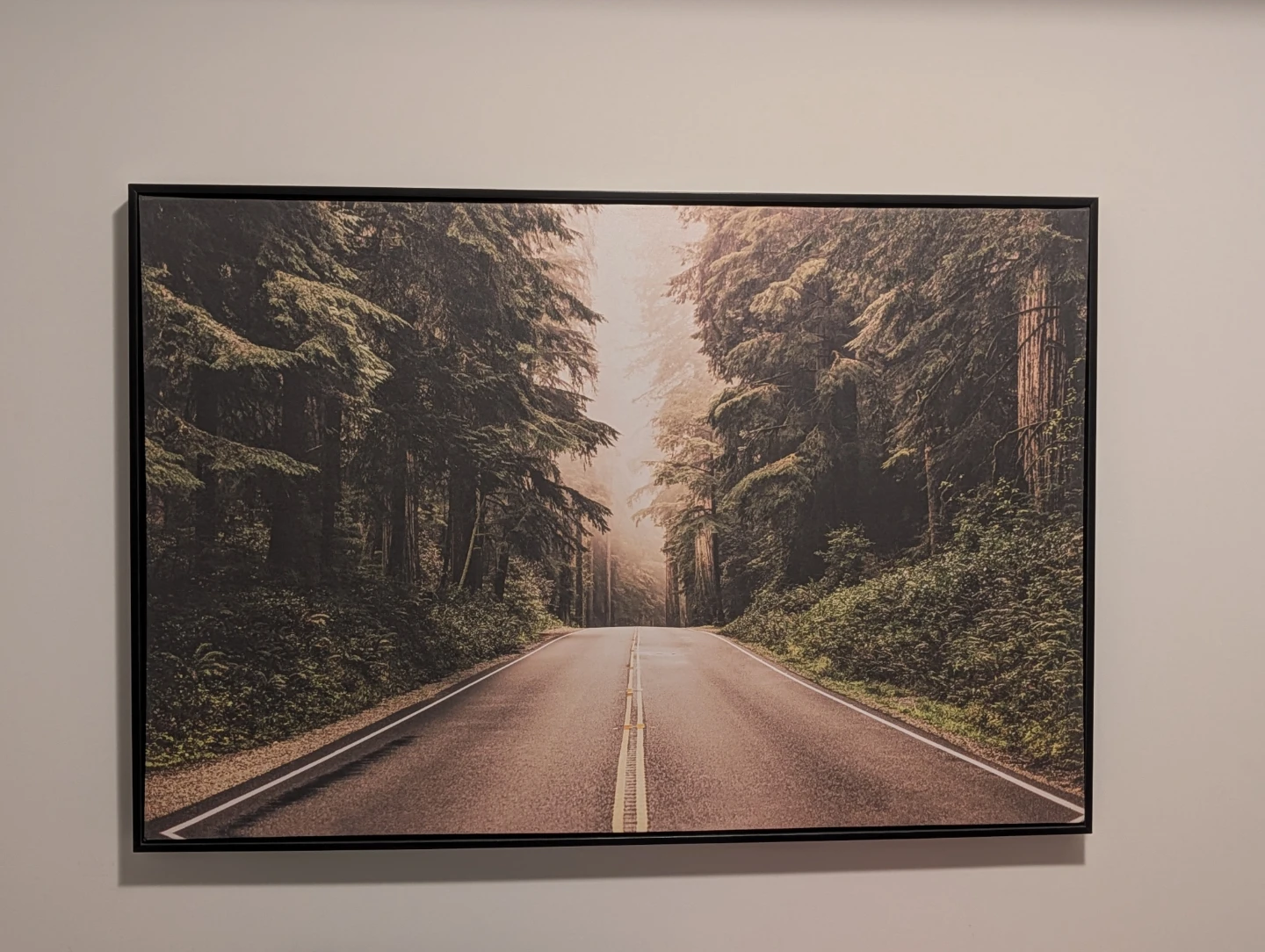 Framed Canvas Wall Art - photo 3
