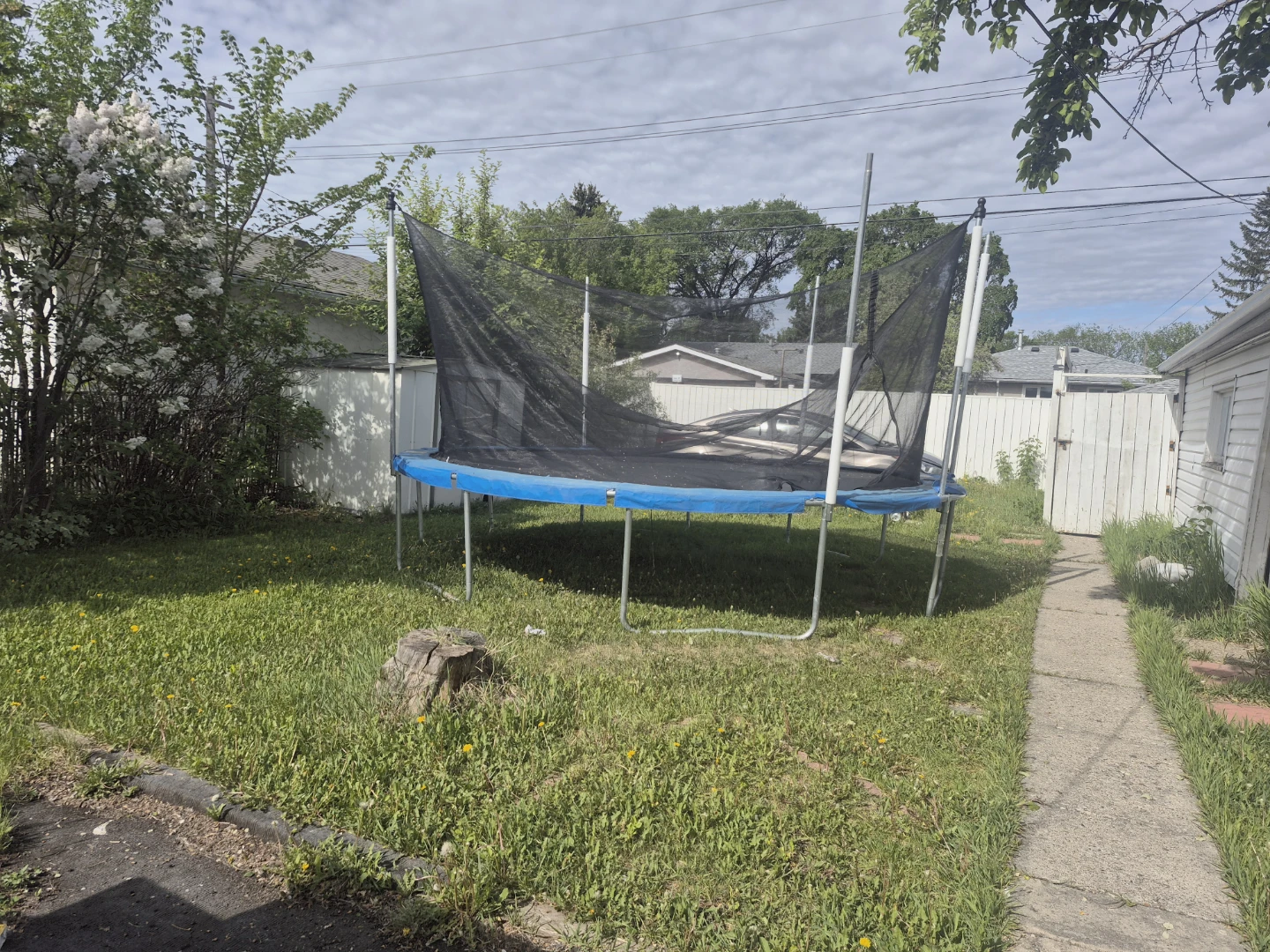Trampoline with Safety Net 15 ft
