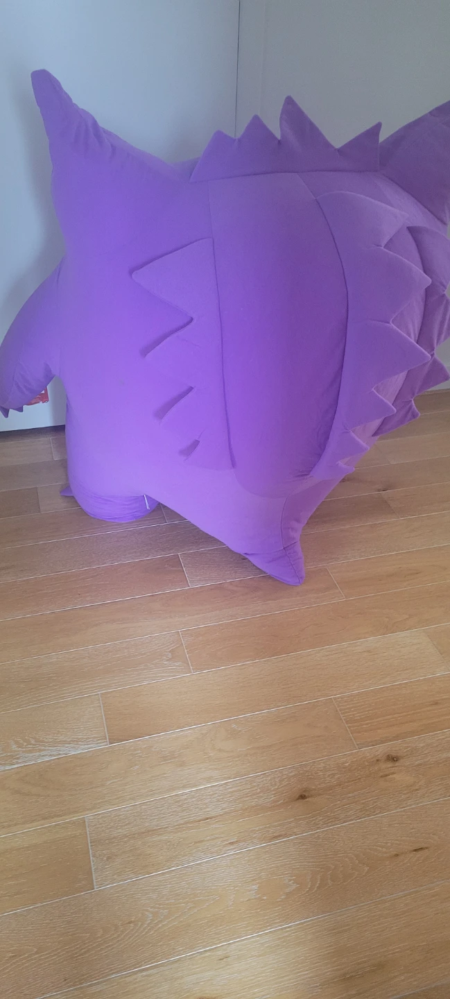 Pokémon Lovers Check it Out!!! - photo 5