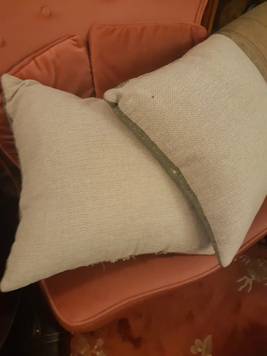 Two Decorative Throw Pillows - photo 2