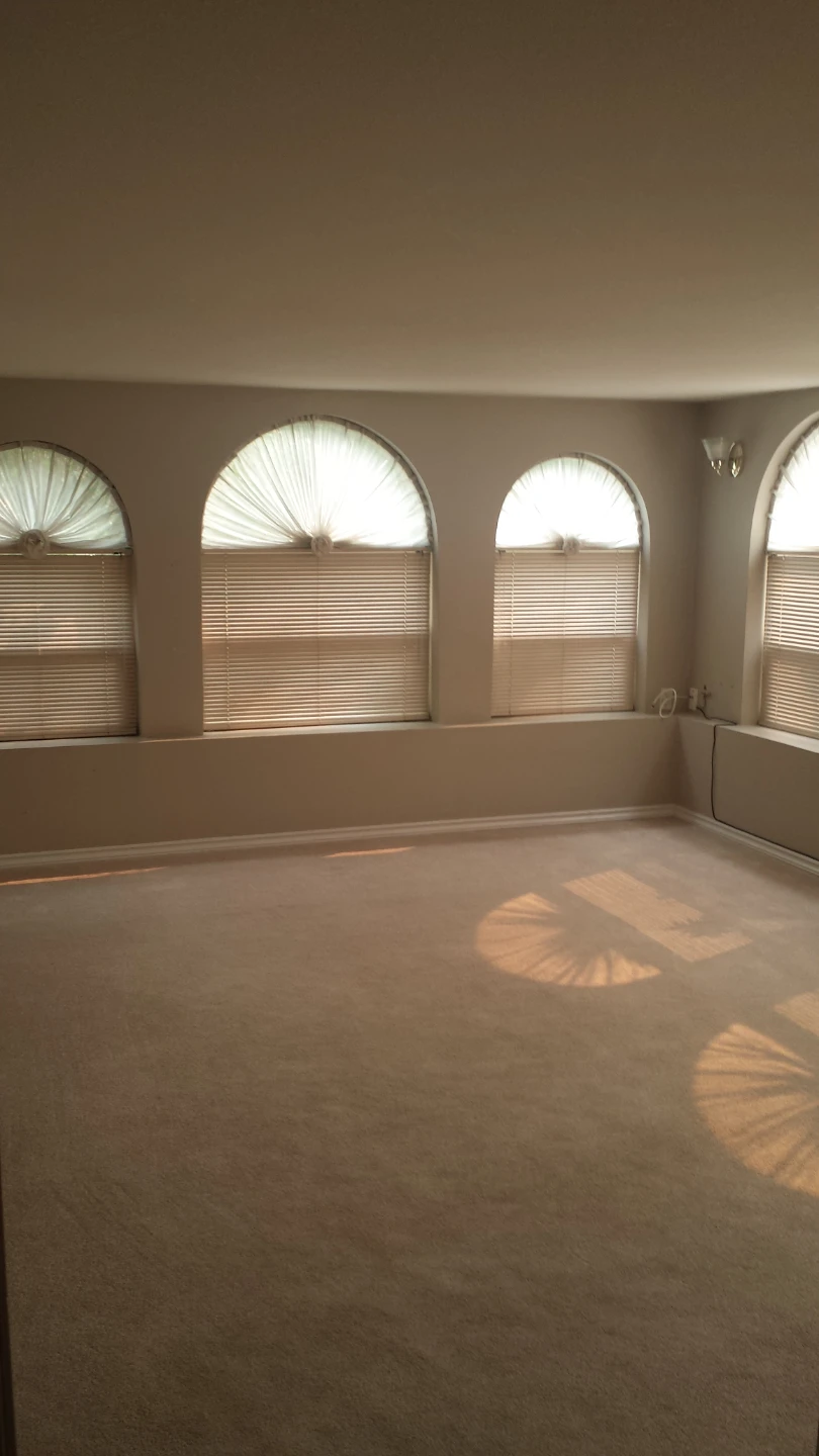 Basement Suite for rent