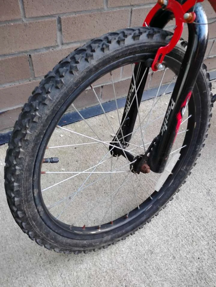 Pacific Moto-20 Bicycle - photo 4