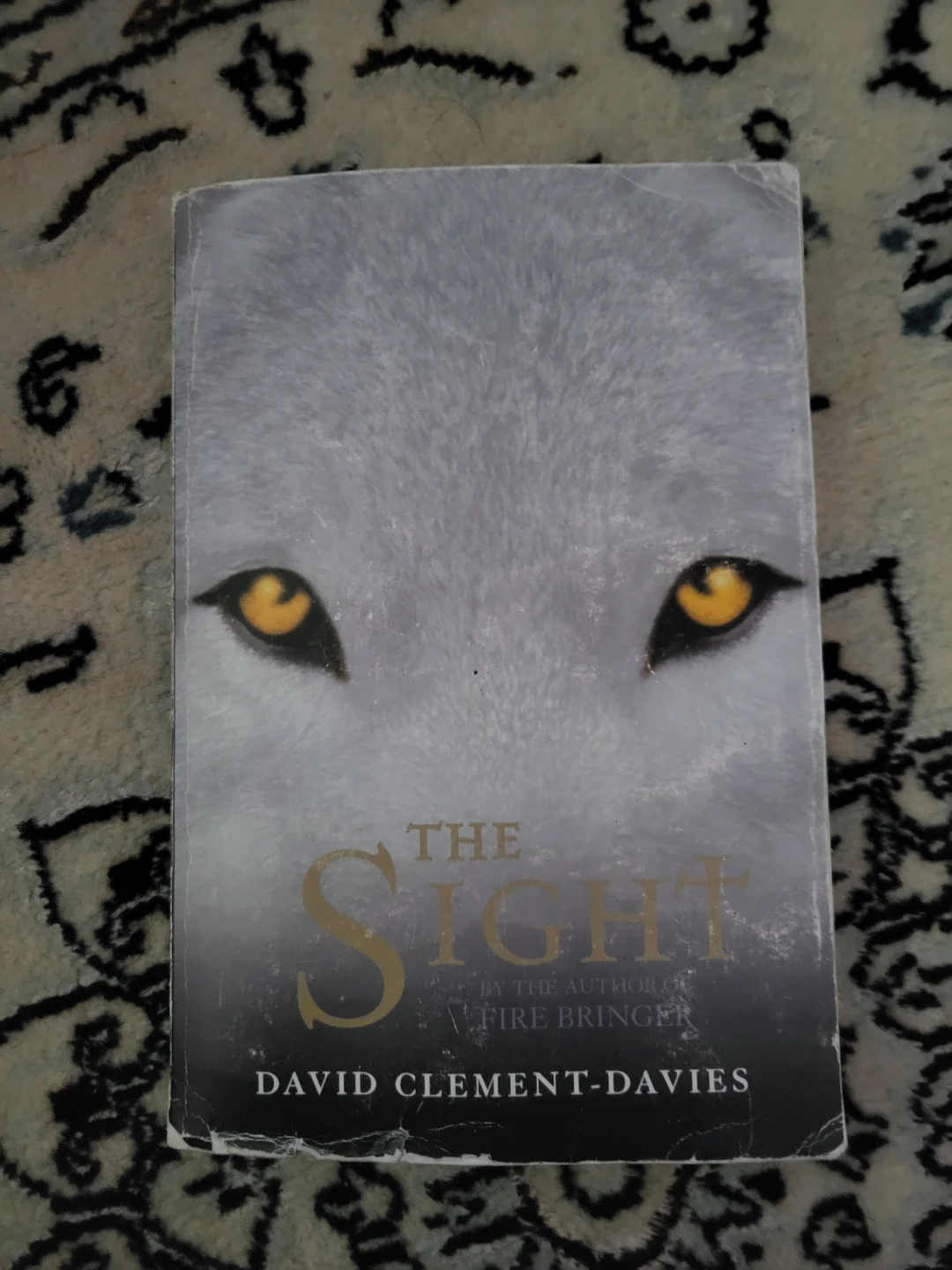 The Sight by David Clement-Davies
