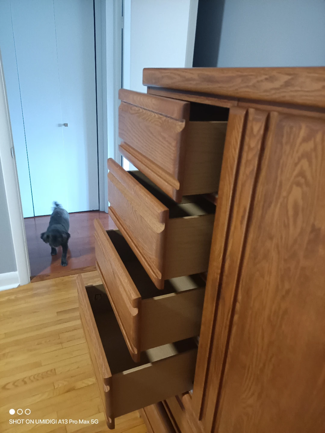 Solid Oak Dresser with Cabinet - photo 4