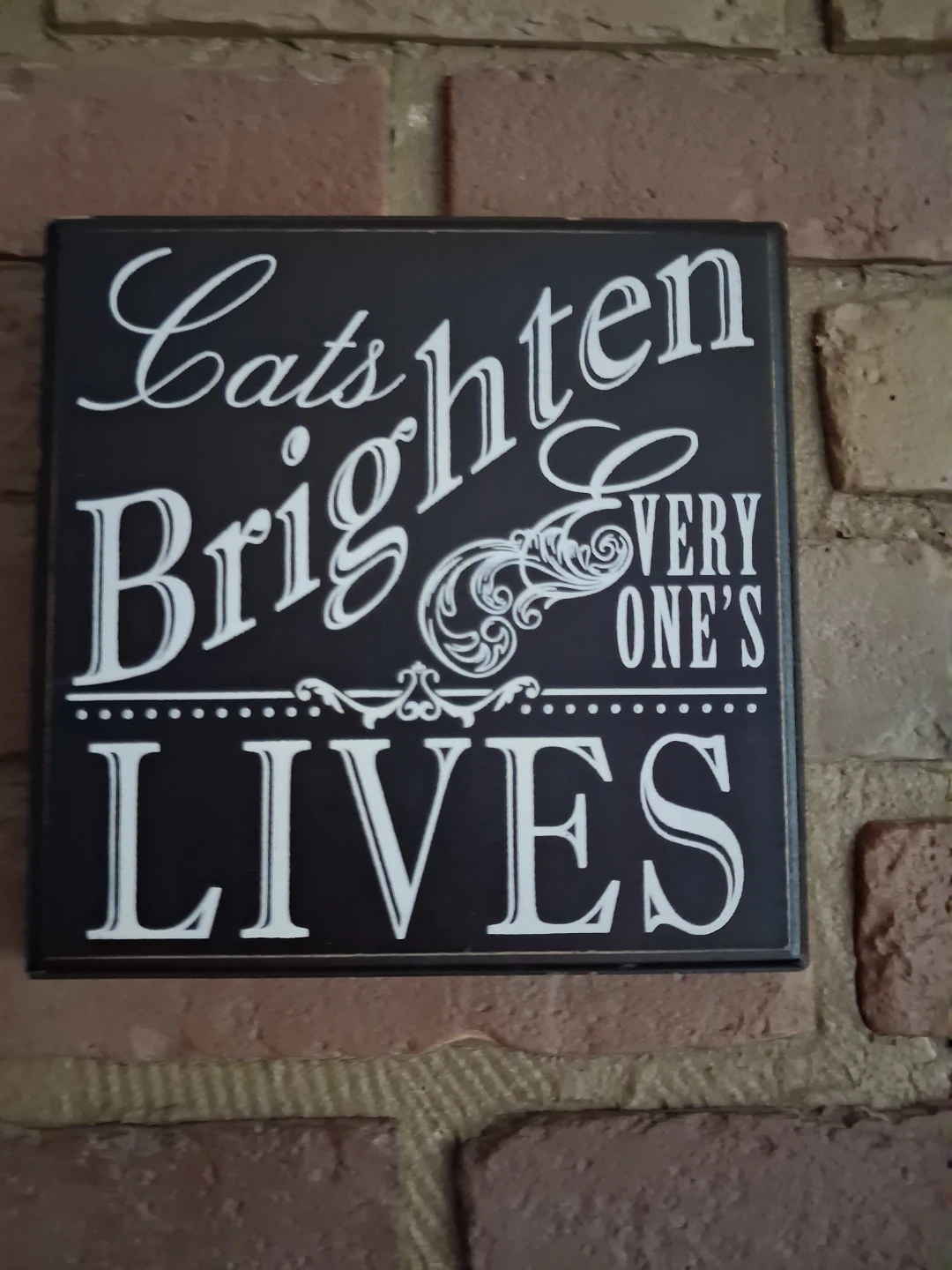 Cats Brighten Every One's Lives Wall Art