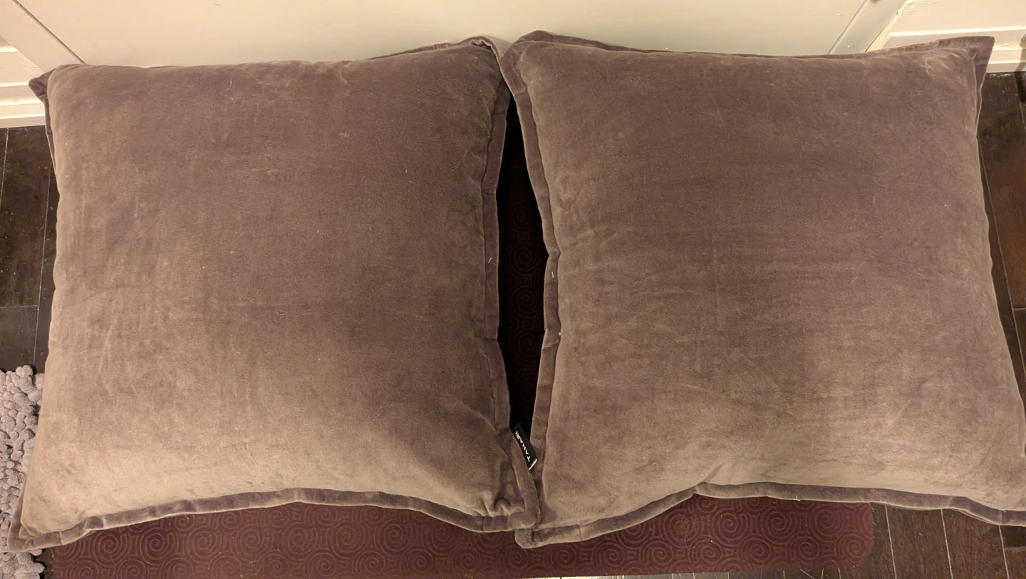 Tahari Throw Pillows (Set of 2)