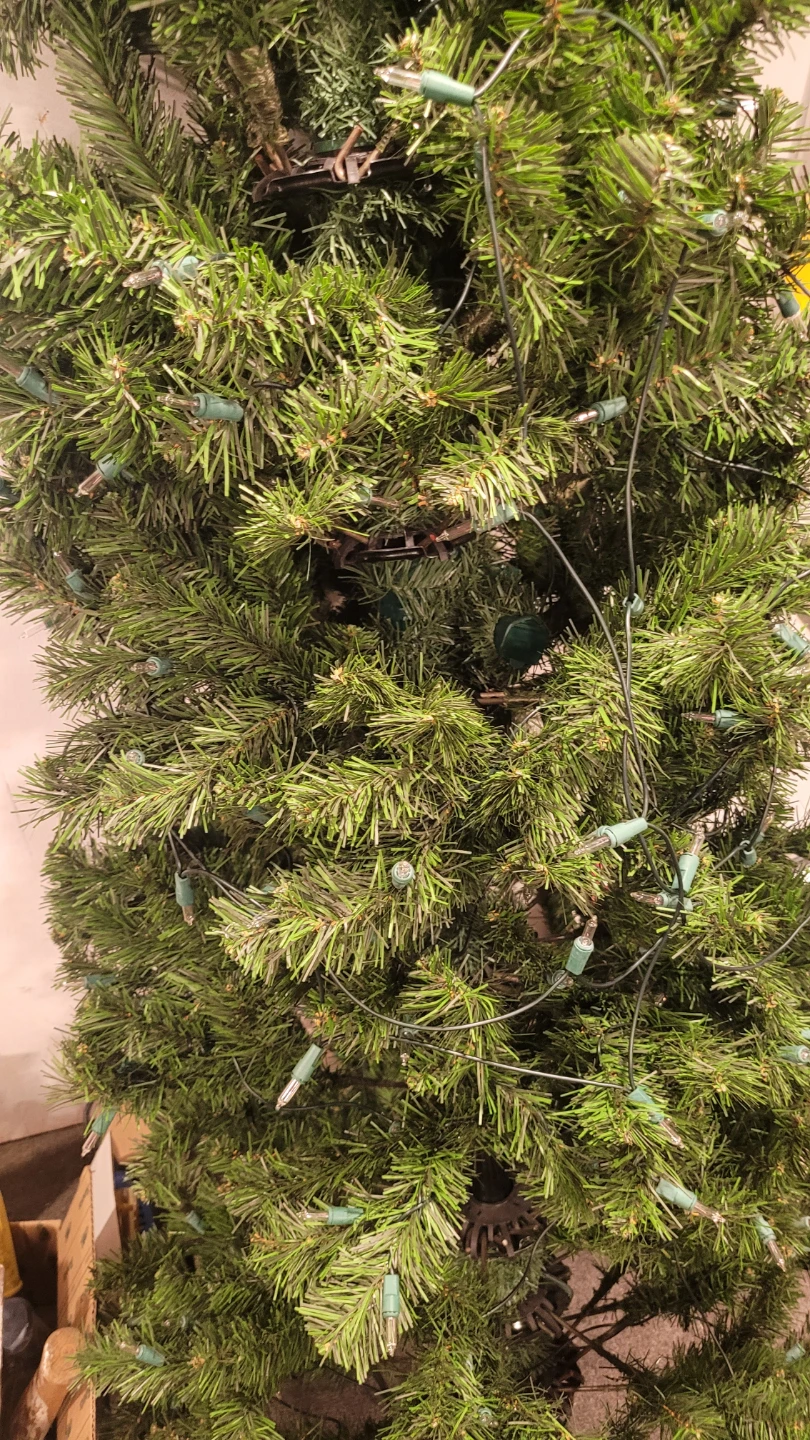 Free Christmas tree - photo 2