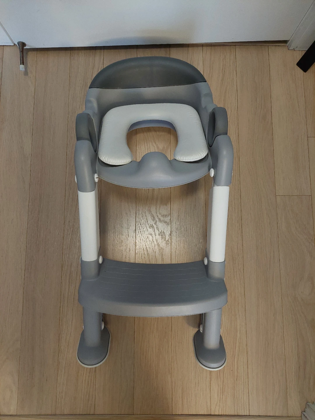 Potty Training Seat with Step