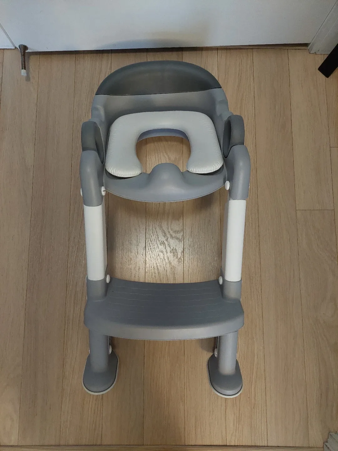 Potty Training Seat with Step