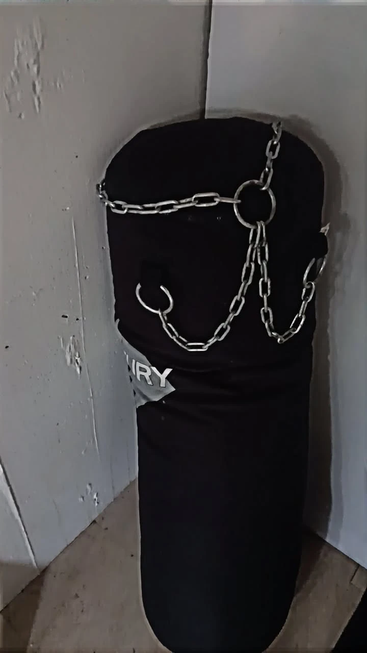 Century Punching Bag with Chains - photo 2