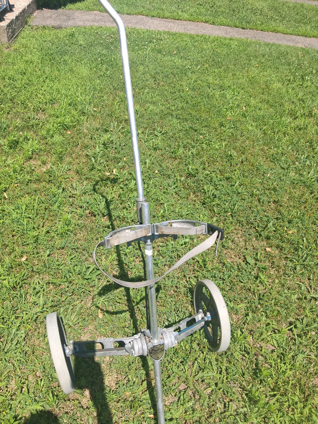 Golf cart - photo 4