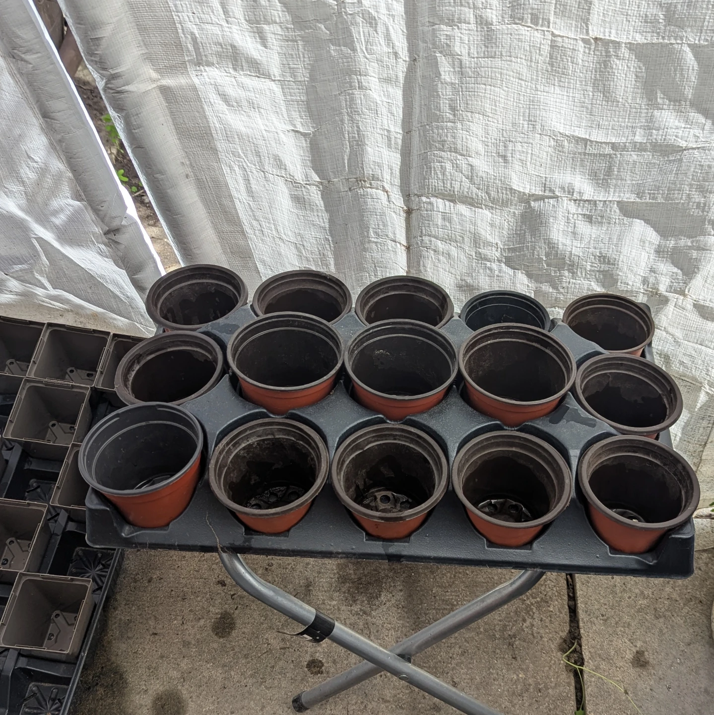 Nursery tray with 4" pots