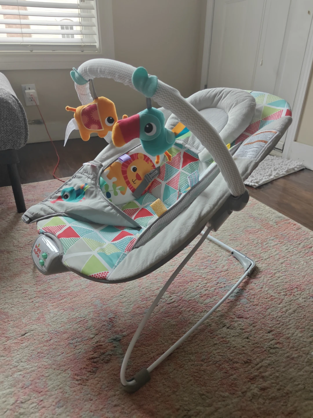 Bright Starts Baby Bouncer Seat - photo 2