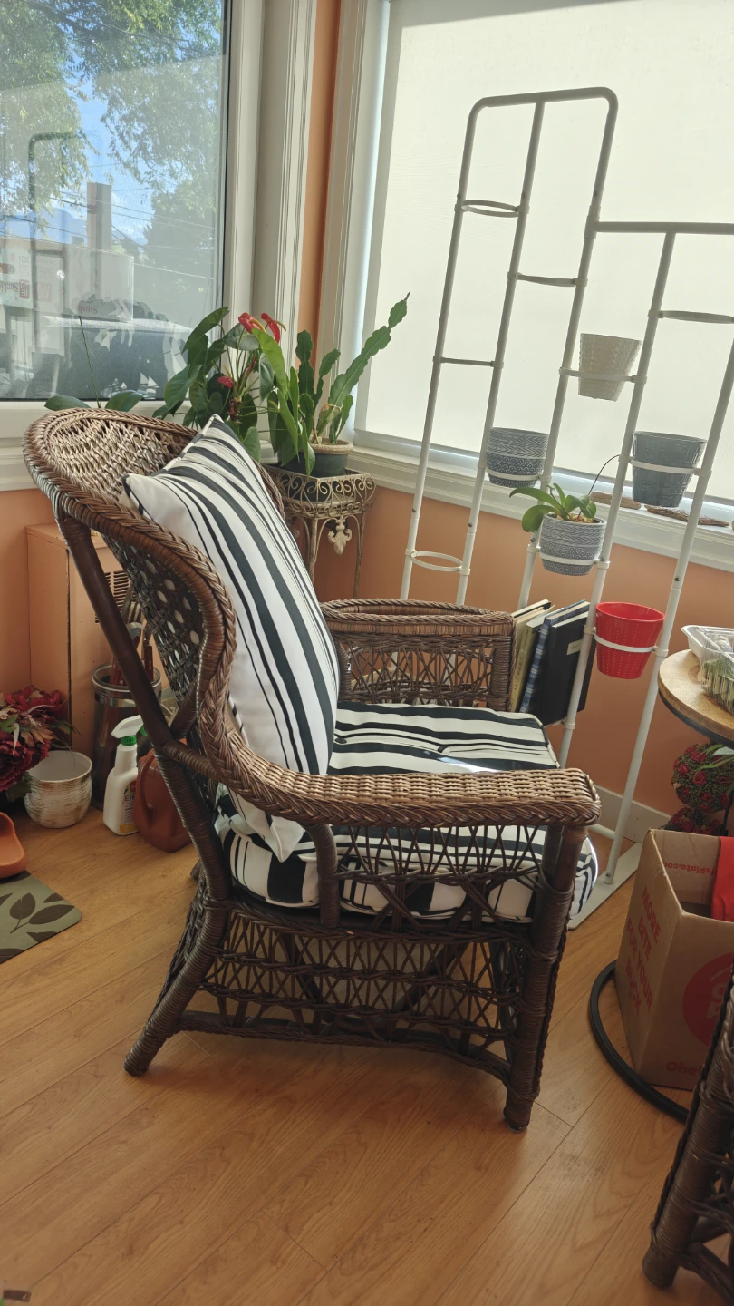 Set of 2 Wicker Lounge Chairs with Cushions