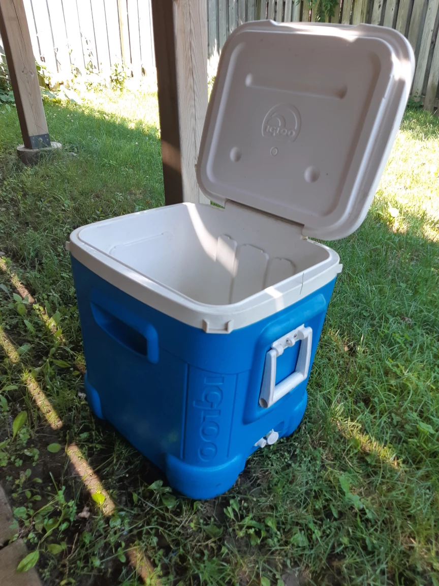 Igloo Ice Cube Cooler