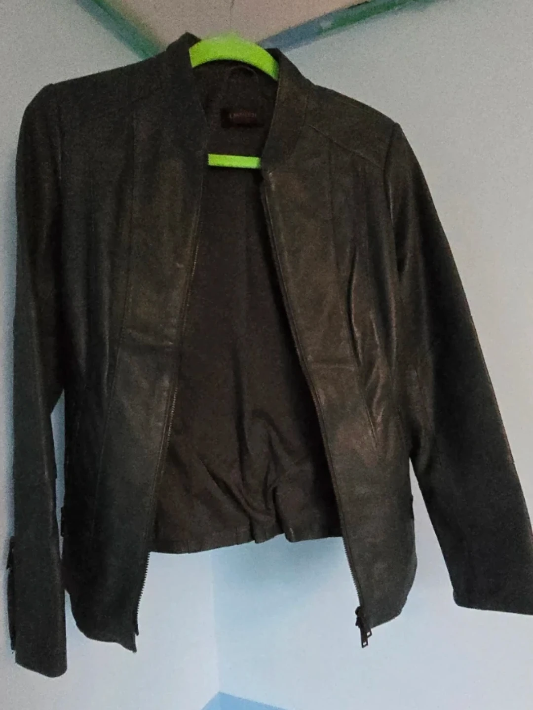 Danier Leather Jacket