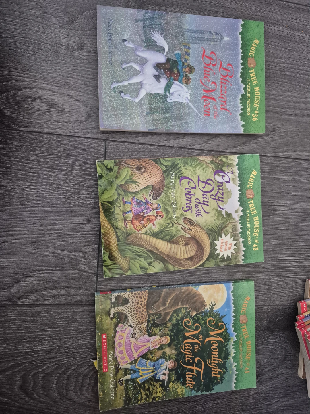 Magic Tree House Books Collection - photo 5