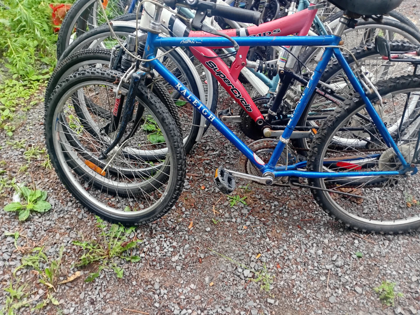 Raleigh Bicycle