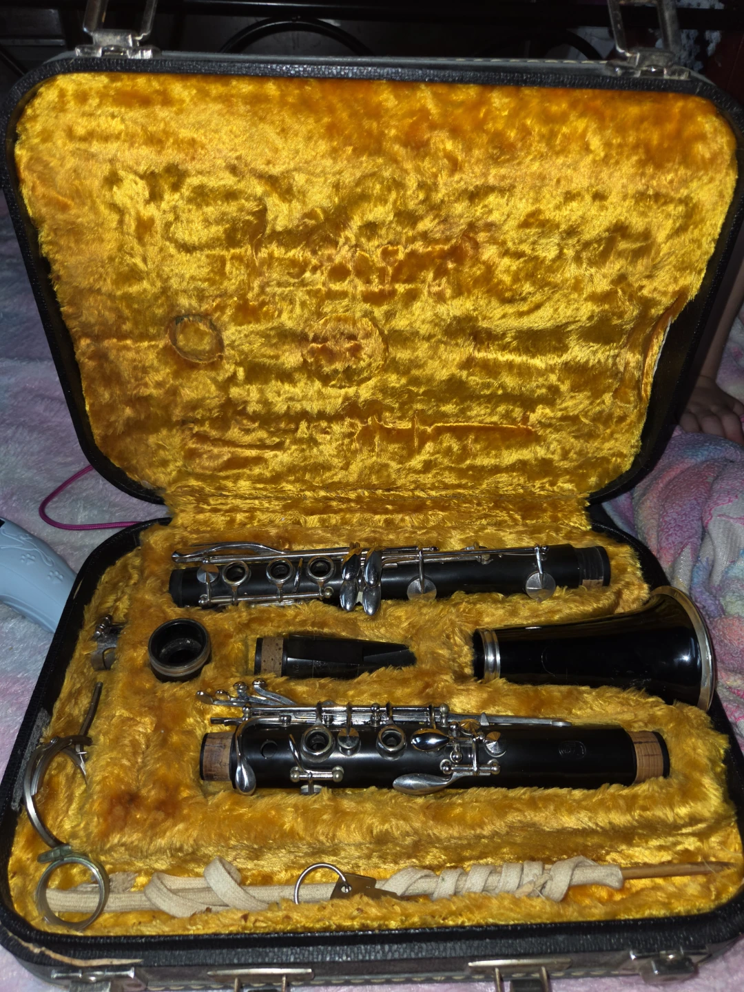 Clarinet in Case