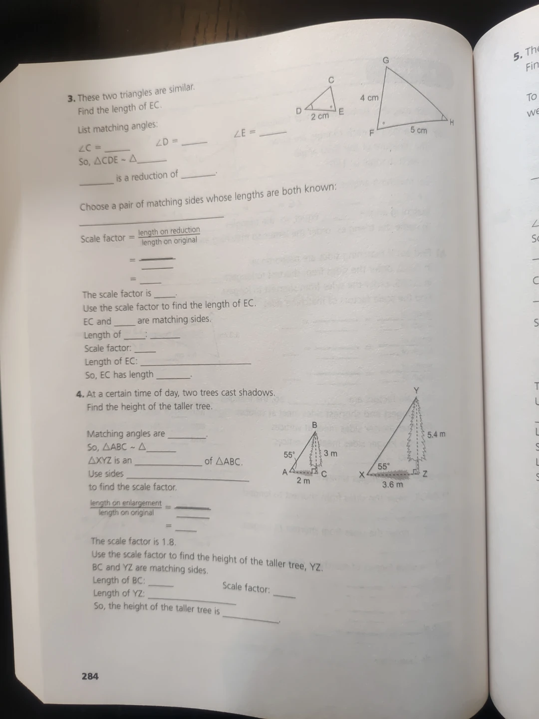 Math Makes Sense 9 Preparation and Practice Book - photo 4