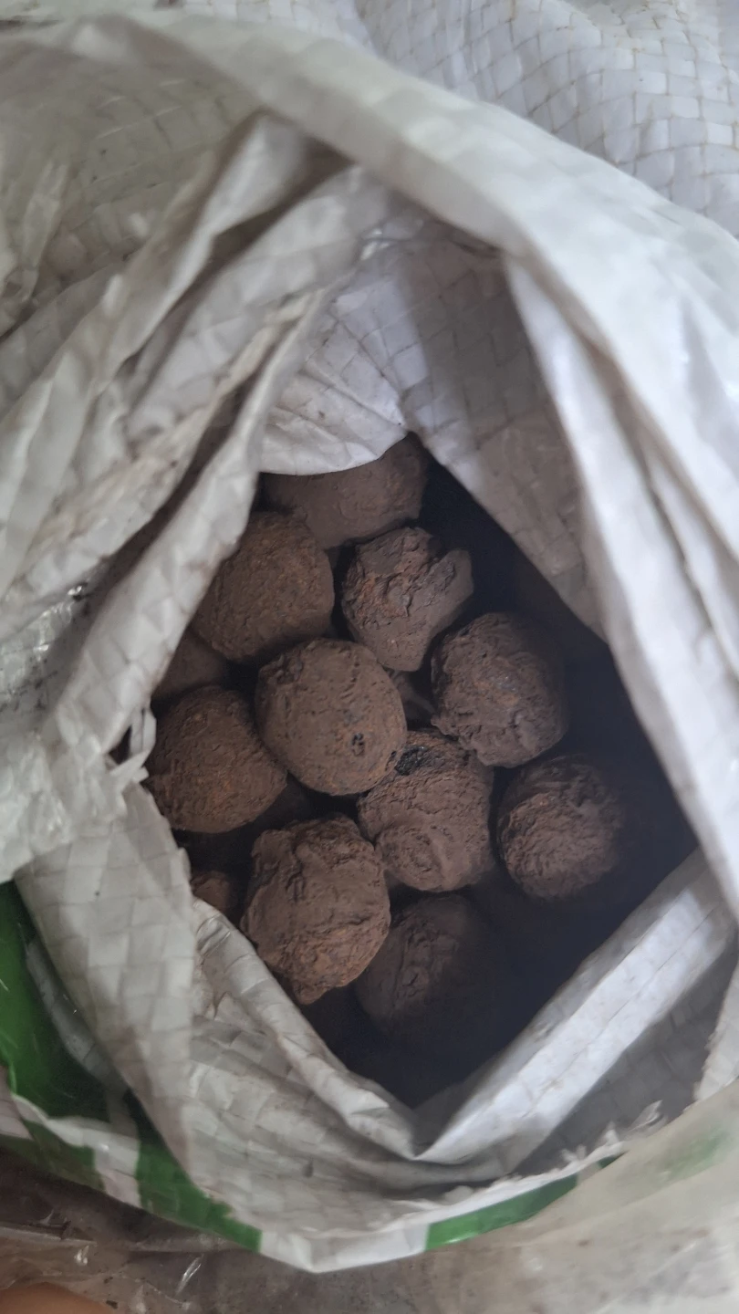 Expanded Clay Pebbles for Gardening