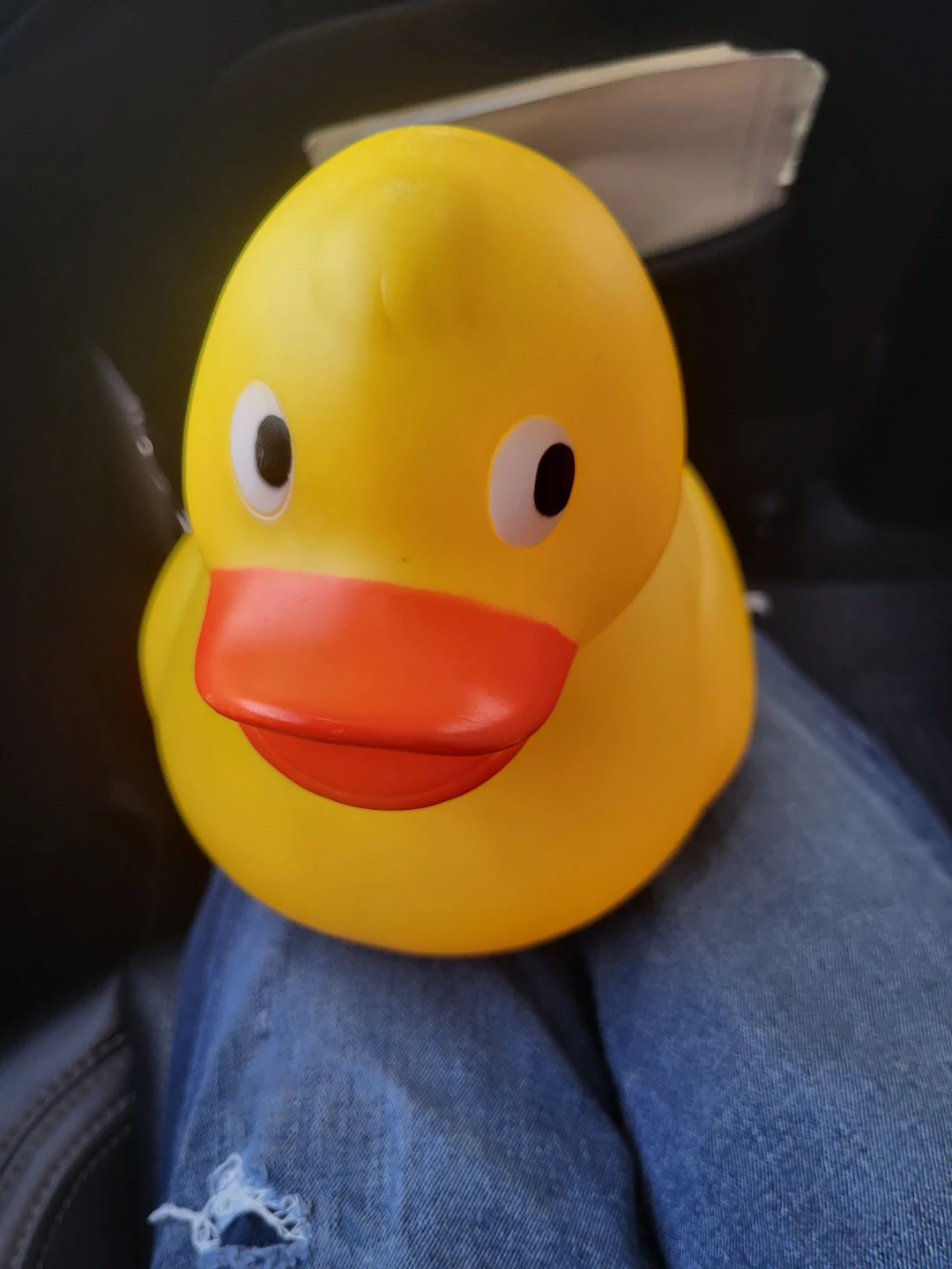 Yellow rubber ducky