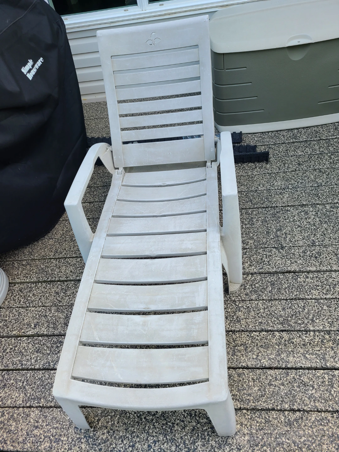 Plastic Chaise Lounge Chair and cover