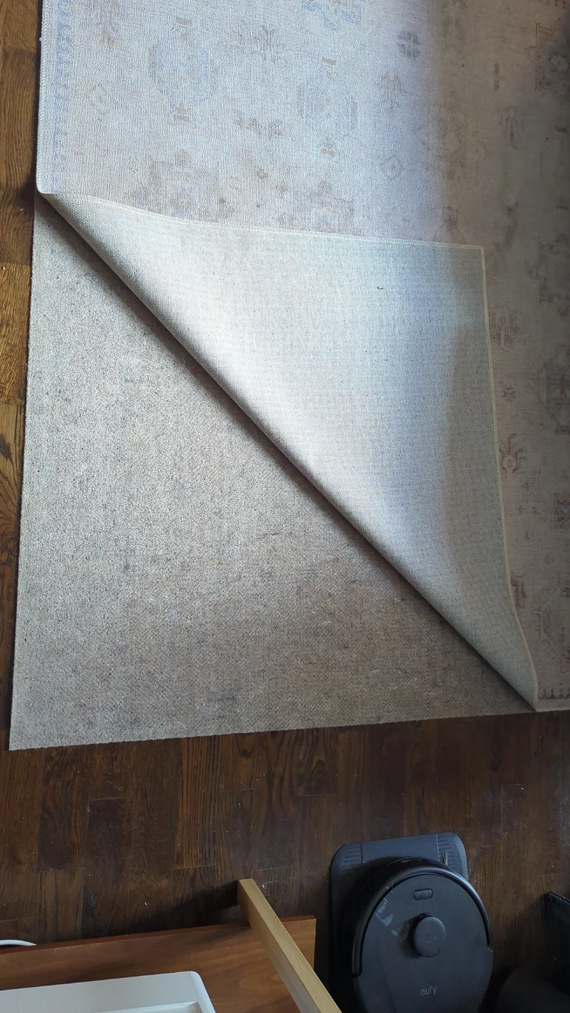 Area Rug - photo 2