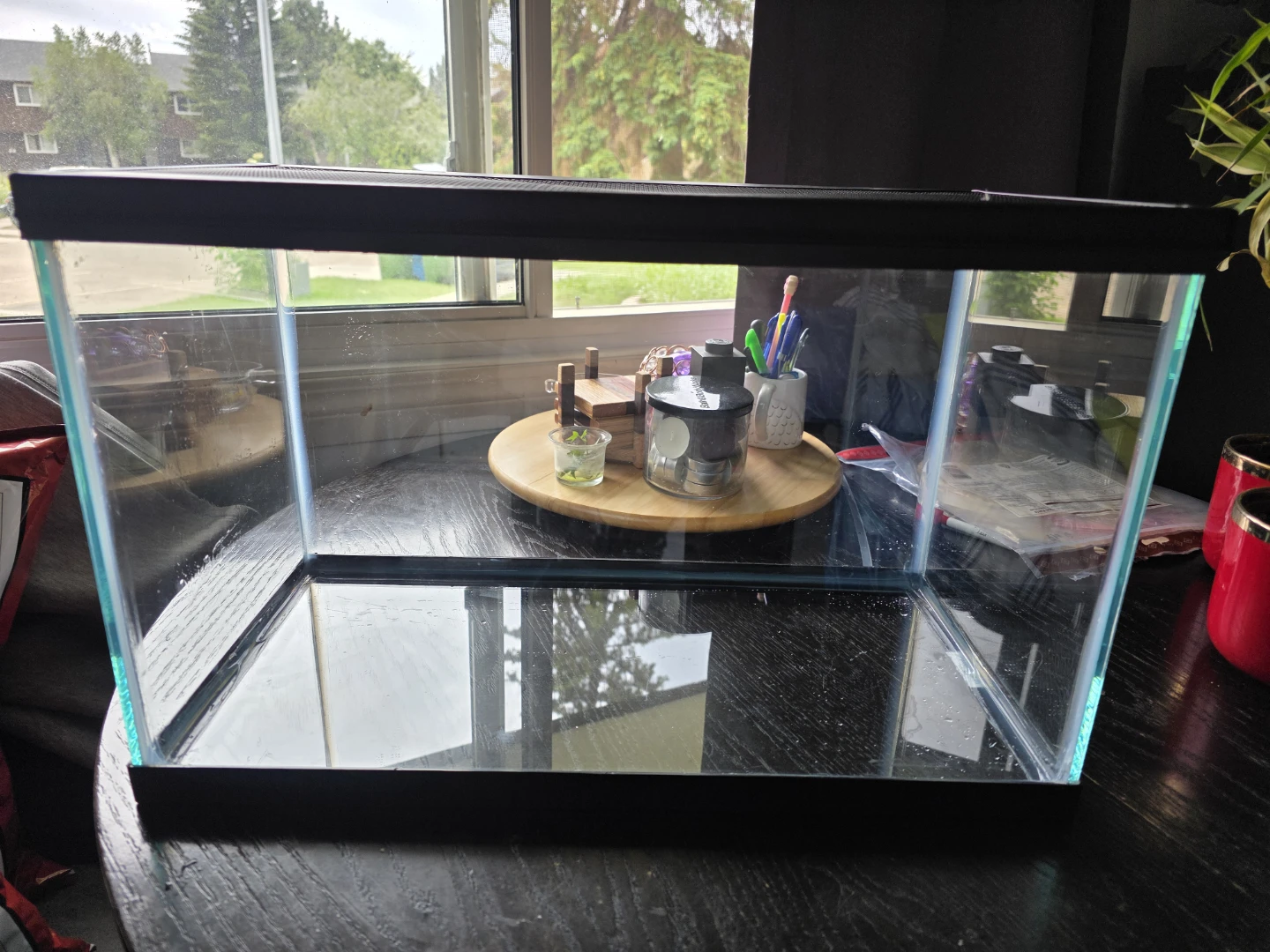 Glass Aquarium Tank with Lid