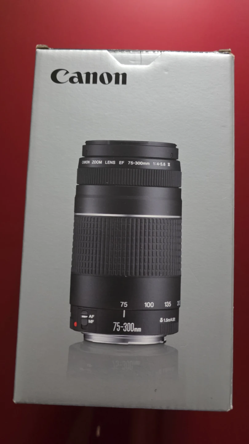 Canon EF 75-300mm f/4-5.6 III Lens