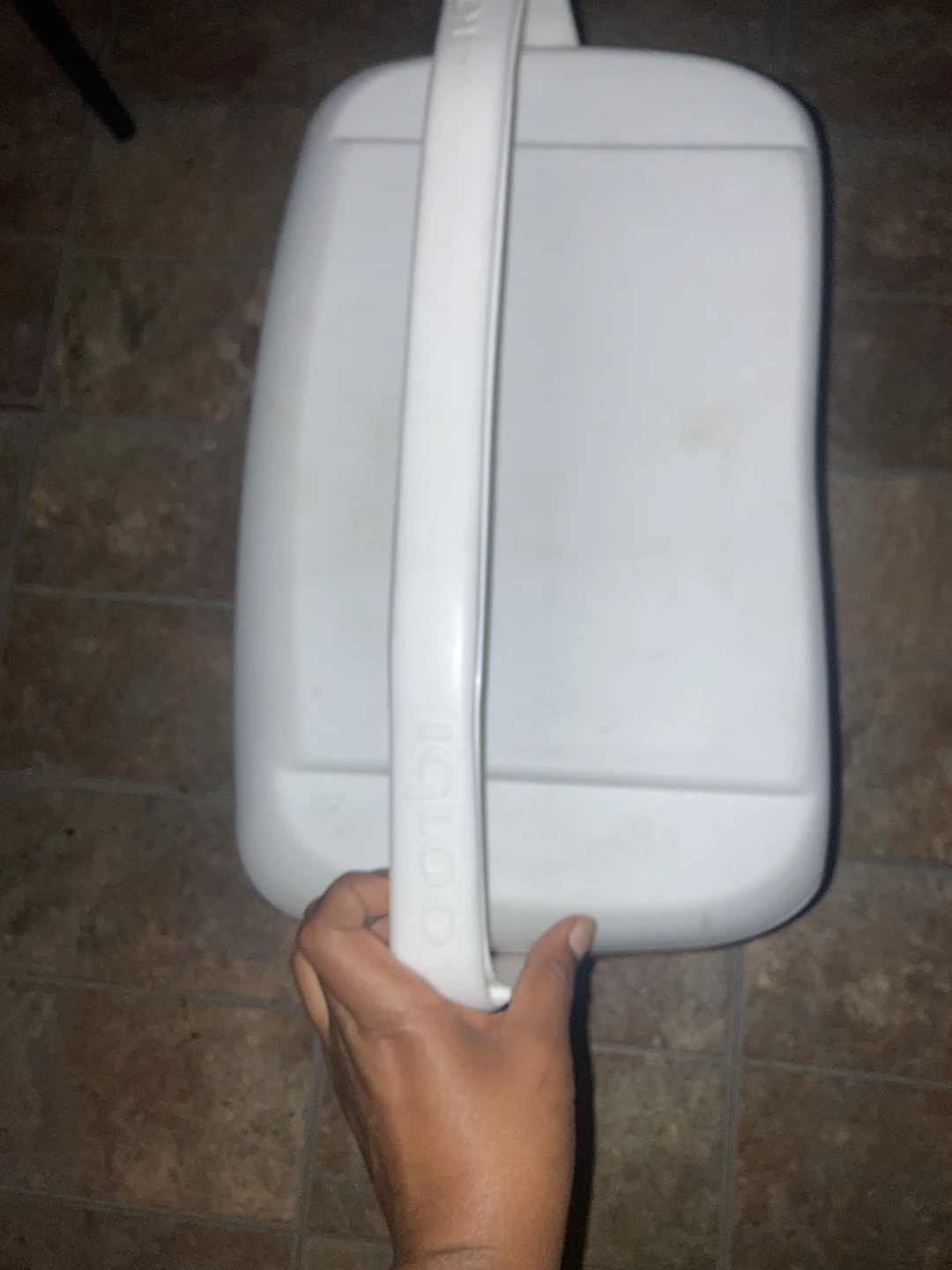 Igloo Cooler