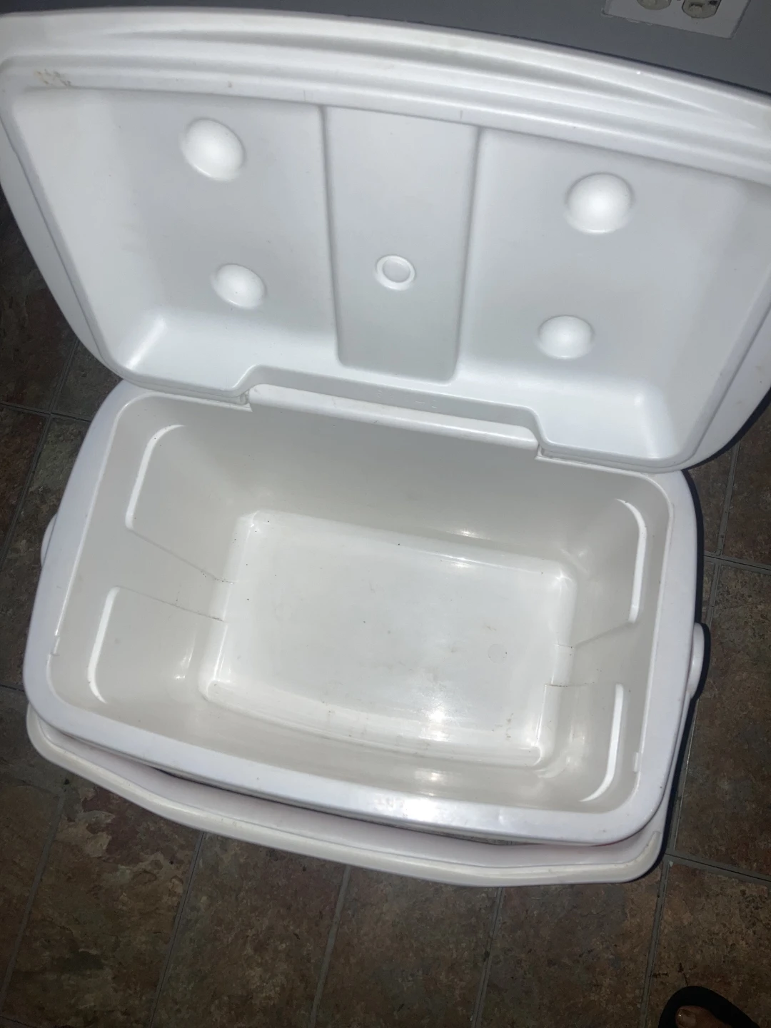 Igloo Cooler - photo 2