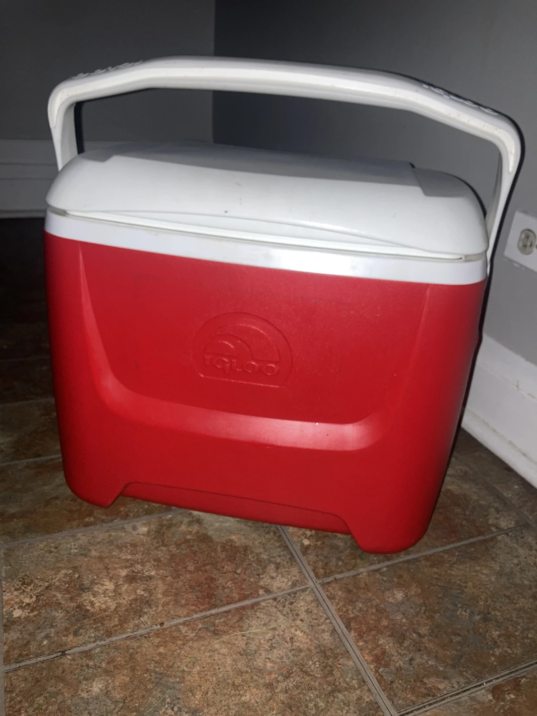 Igloo Cooler - photo 3