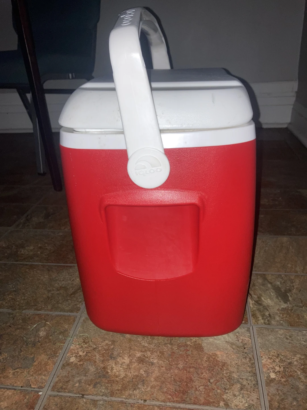 Igloo Cooler - photo 4