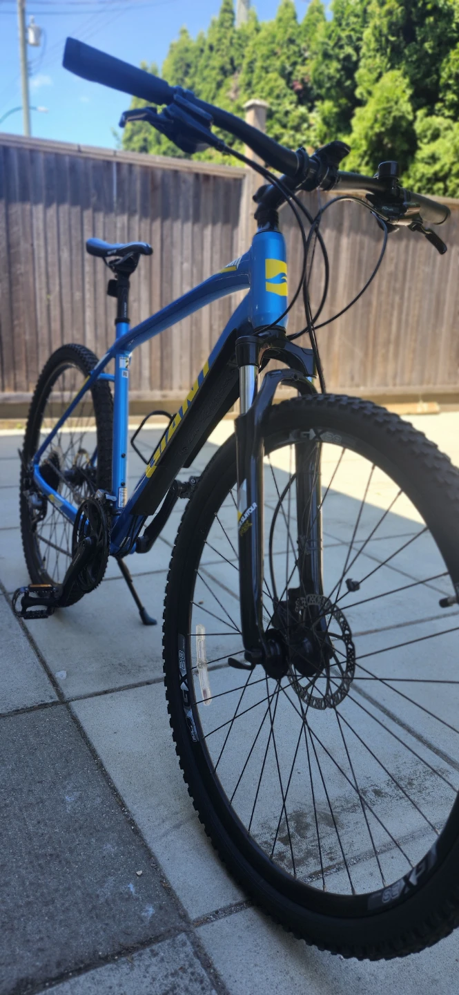 Giant Roam 2