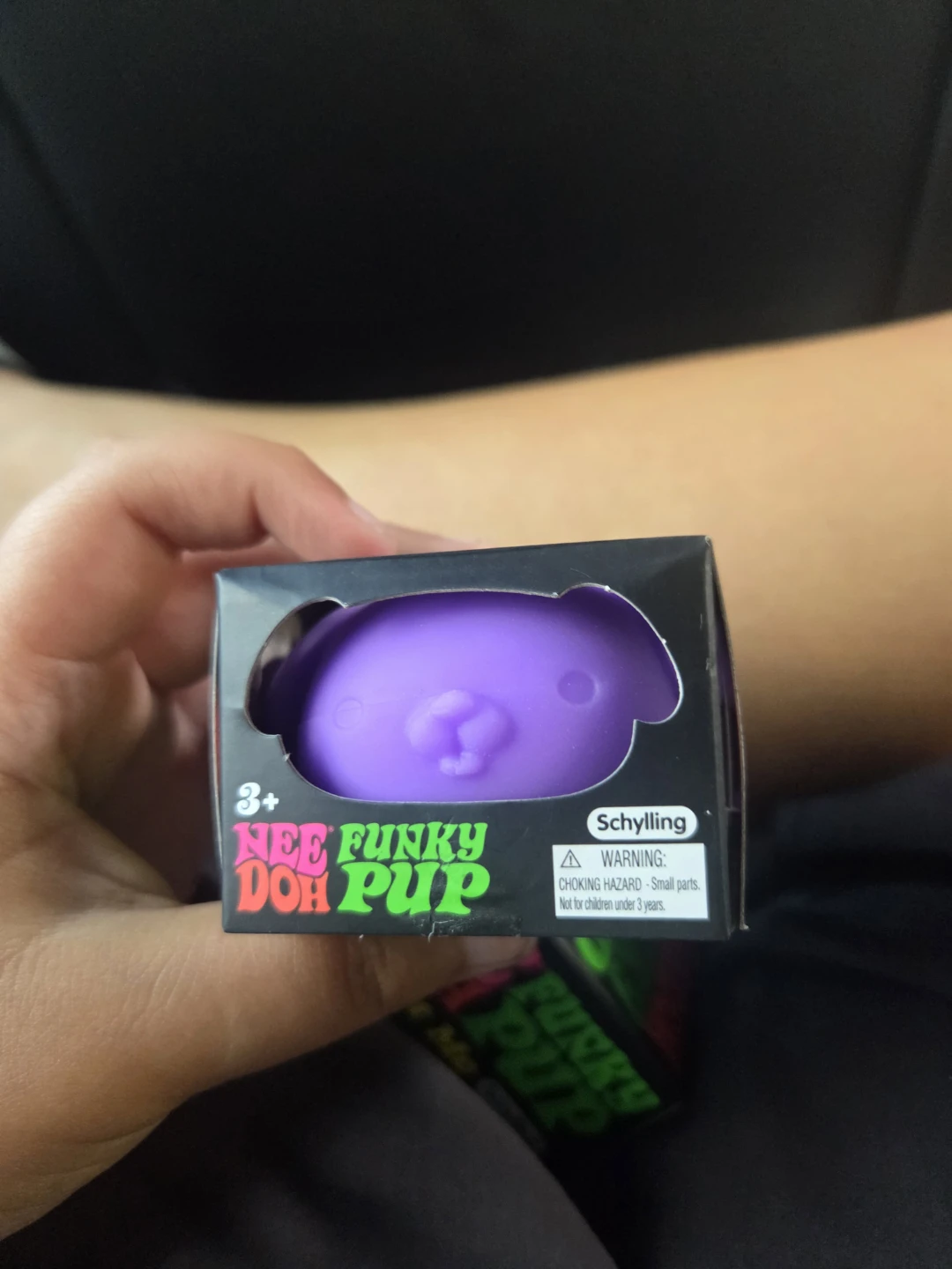 Schylling Nee Funky Doh Pup Purple